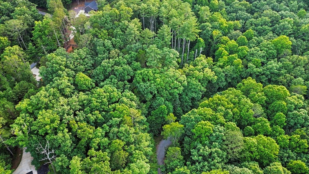 148 Alcan Way, Ellijay GA 30540 - Photo