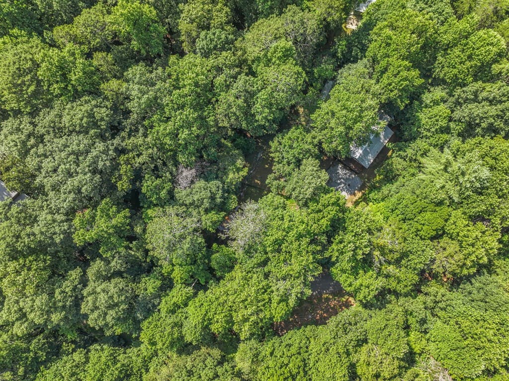 158 Bamby Lane, Ellijay GA 30540 - Photo