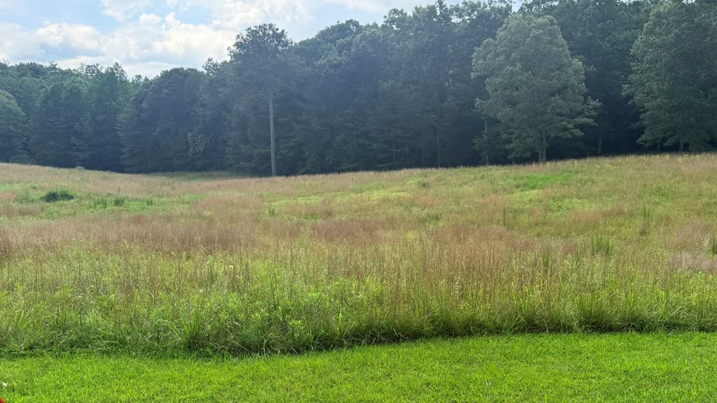 LT 6 Spring Camp Road, Ellijay GA 30536 - Photo