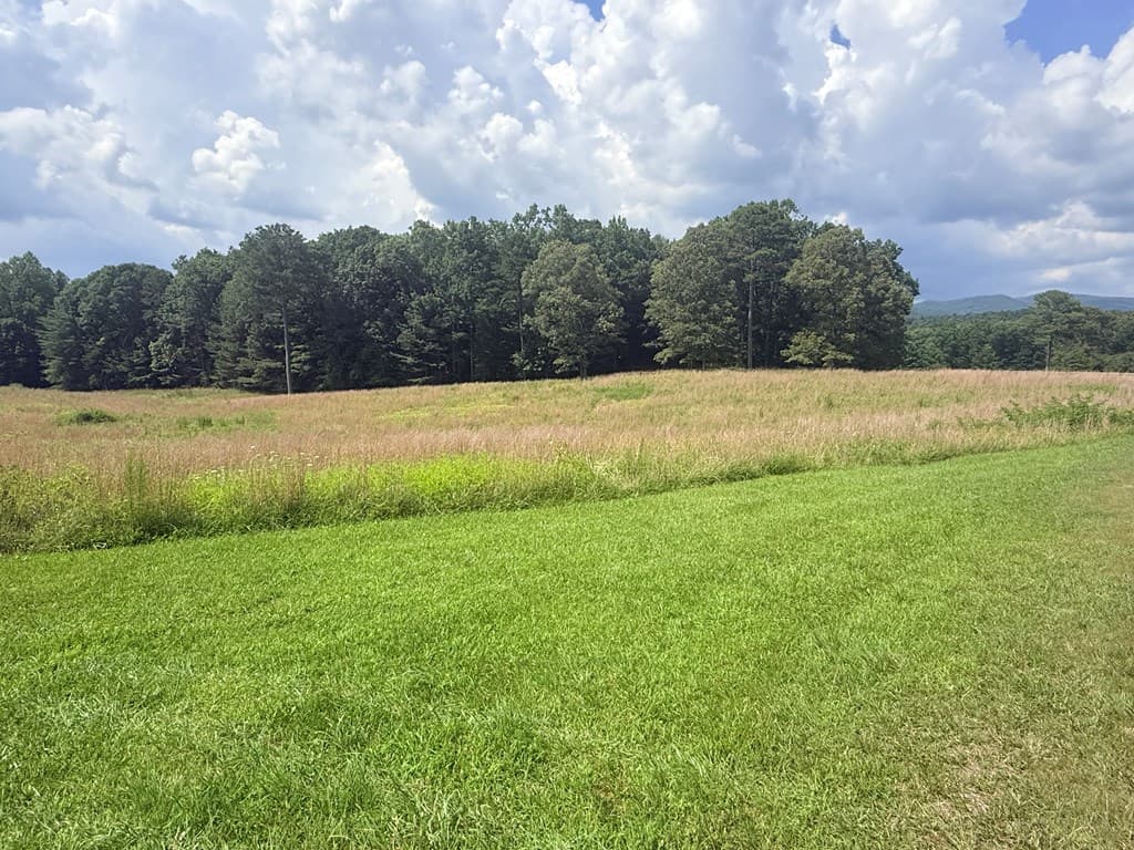 LT 6 Spring Camp Road, Ellijay GA 30536 - Photo