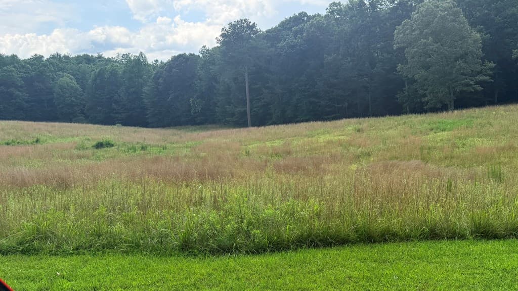 LT 6 Spring Camp Road, Ellijay GA 30536 - Photo