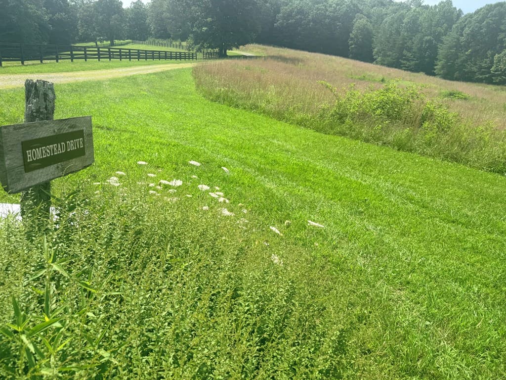 LT 6 Spring Camp Road, Ellijay GA 30536 - Photo