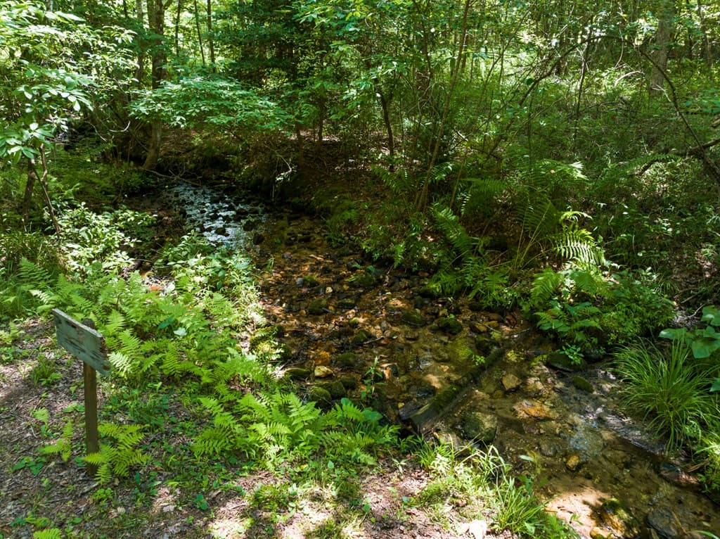 135 The Builders Hill, Morganton GA 30560 - Photo