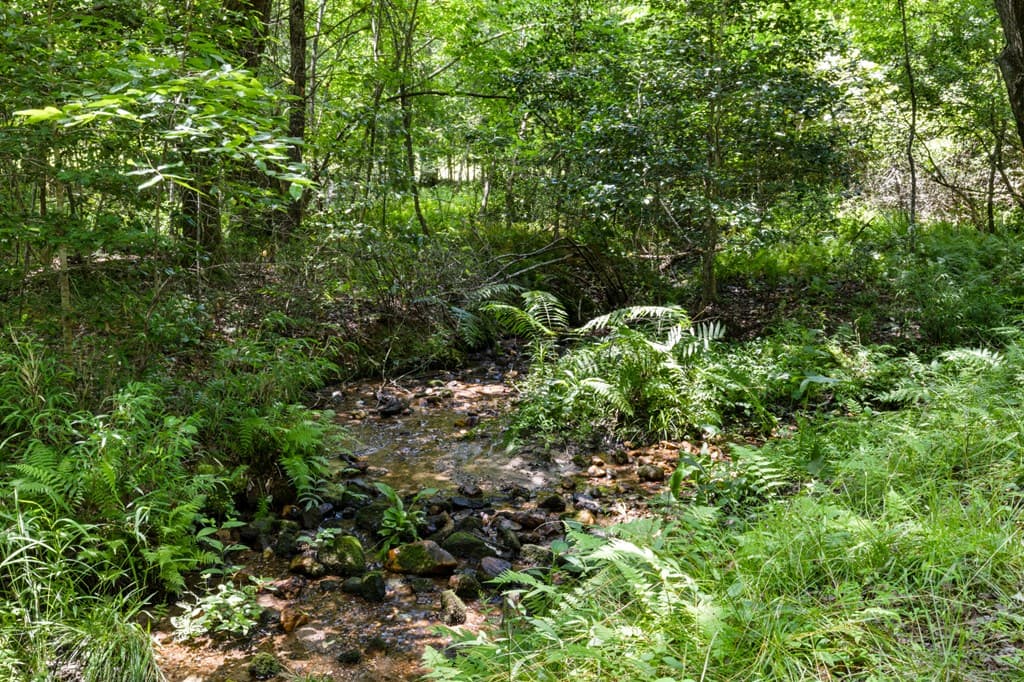 135 The Builders Hill, Morganton GA 30560 - Photo