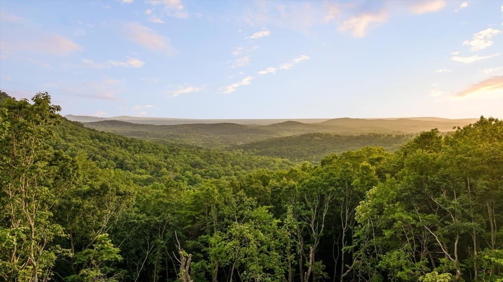 308 Shagbark Court, Talking Rock GA 30175 - Photo