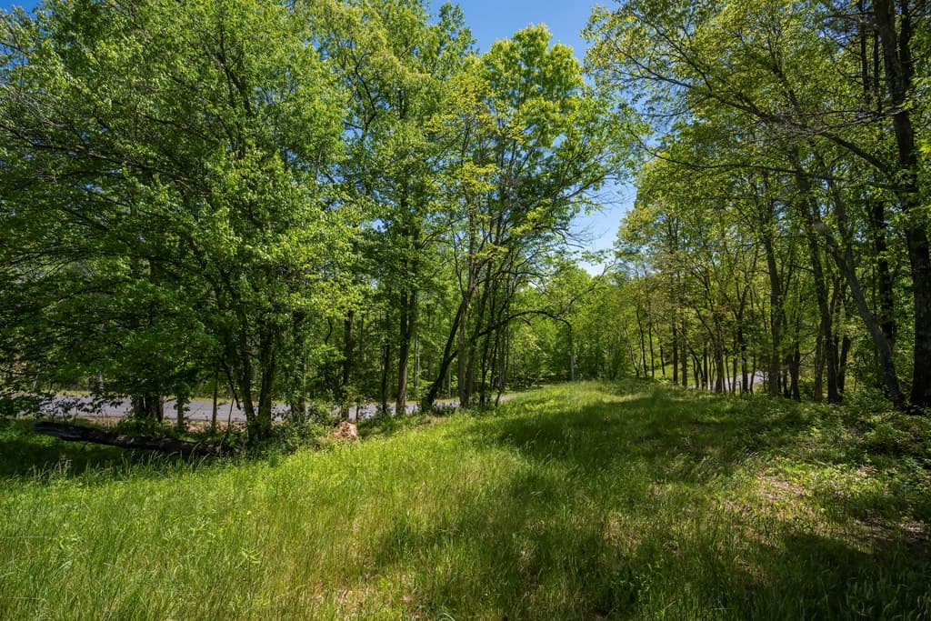 Lot 4-4A Waterstone Way, Mineral Bluff GA 30559 - Photo
