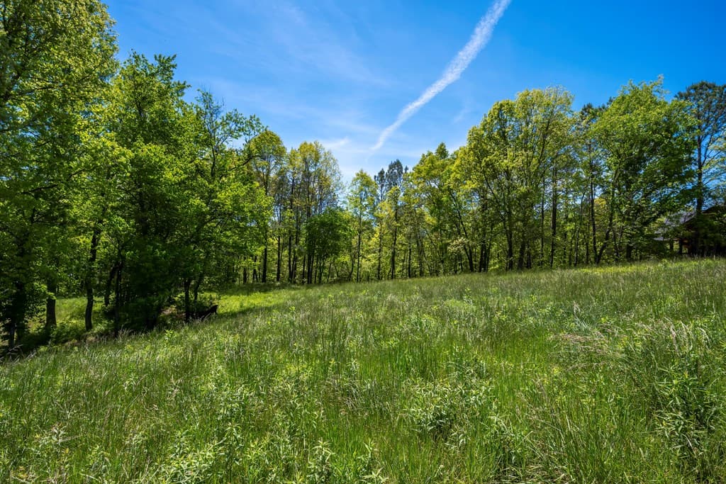 Lot 4-4A Waterstone Way, Mineral Bluff GA 30559 - Photo