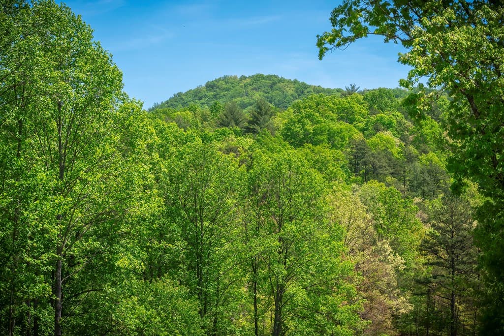 Lot 4-4A Waterstone Way, Mineral Bluff GA 30559 - Photo