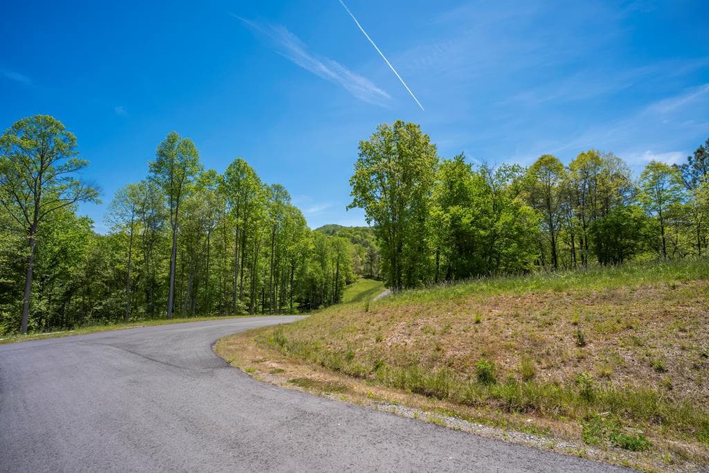 Lot 4-4A Waterstone Way, Mineral Bluff GA 30559 - Primary photo