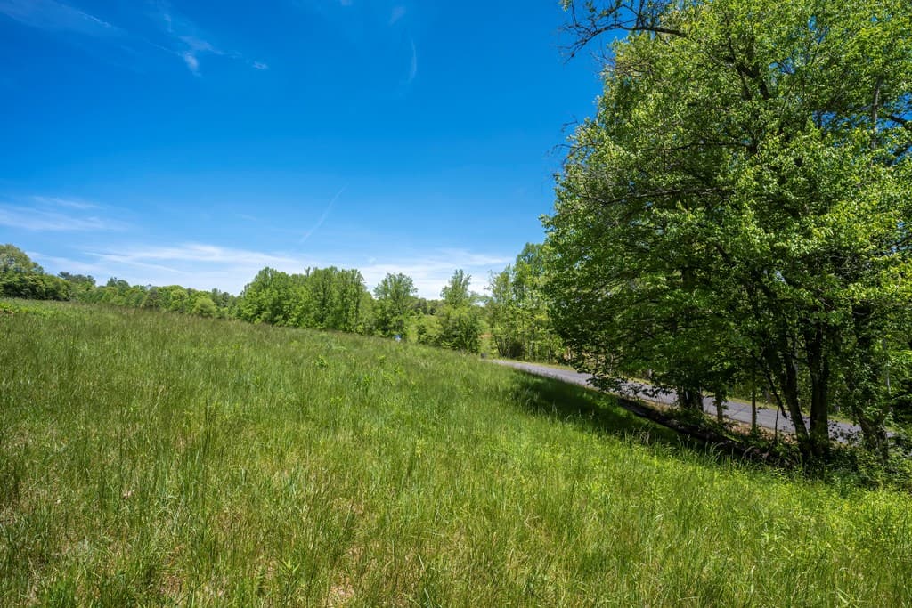 Lot 4-4A Waterstone Way, Mineral Bluff GA 30559 - Photo