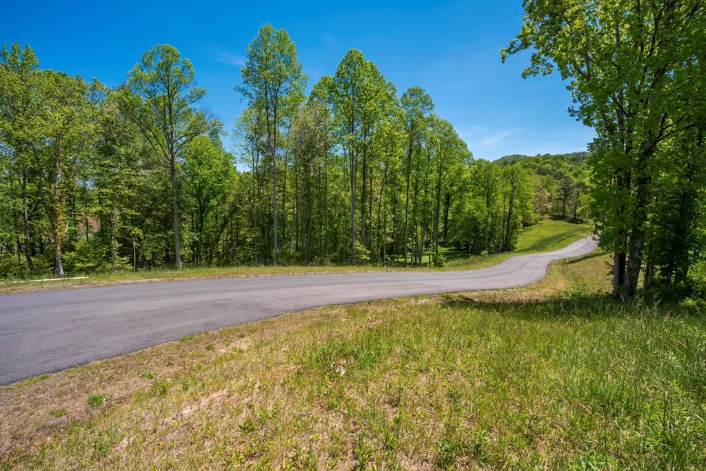 Lot 4-4A Waterstone Way, Mineral Bluff GA 30559 - Photo