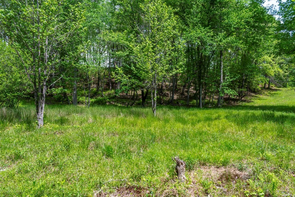 Lot 5-5A Waterstone Way, Mineral Bluff GA 30559 - Photo