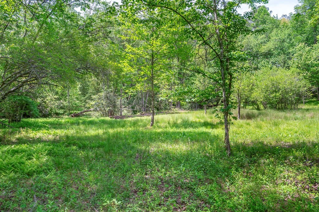 Lot 5-5A Waterstone Way, Mineral Bluff GA 30559 - Photo