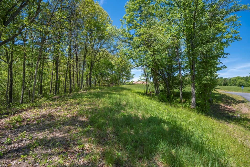 Lot 5-5A Waterstone Way, Mineral Bluff GA 30559 - Photo