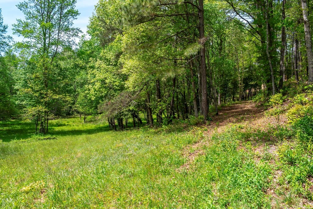 Lot 5-5A Waterstone Way, Mineral Bluff GA 30559 - Photo