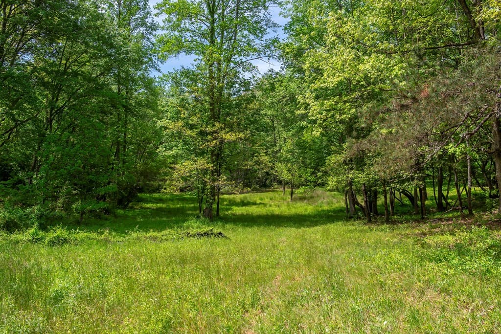 Lot 5-5A Waterstone Way, Mineral Bluff GA 30559 - Photo
