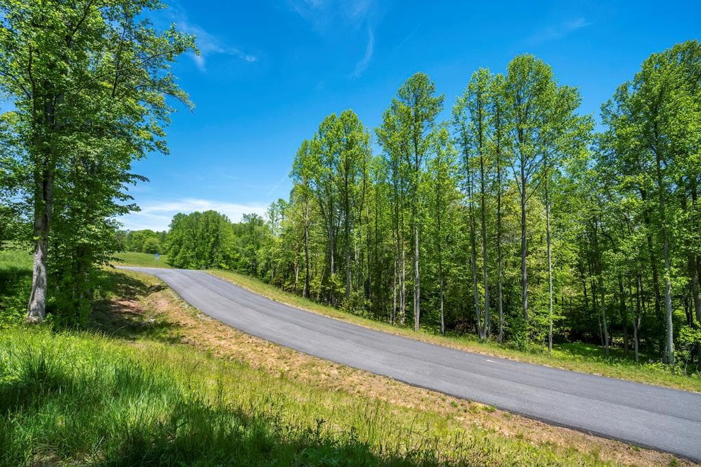 Lot 5-5A Waterstone Way, Mineral Bluff GA 30559 - Primary photo