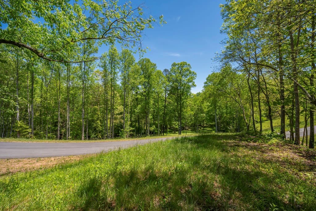 Lot 5-5A Waterstone Way, Mineral Bluff GA 30559 - Photo