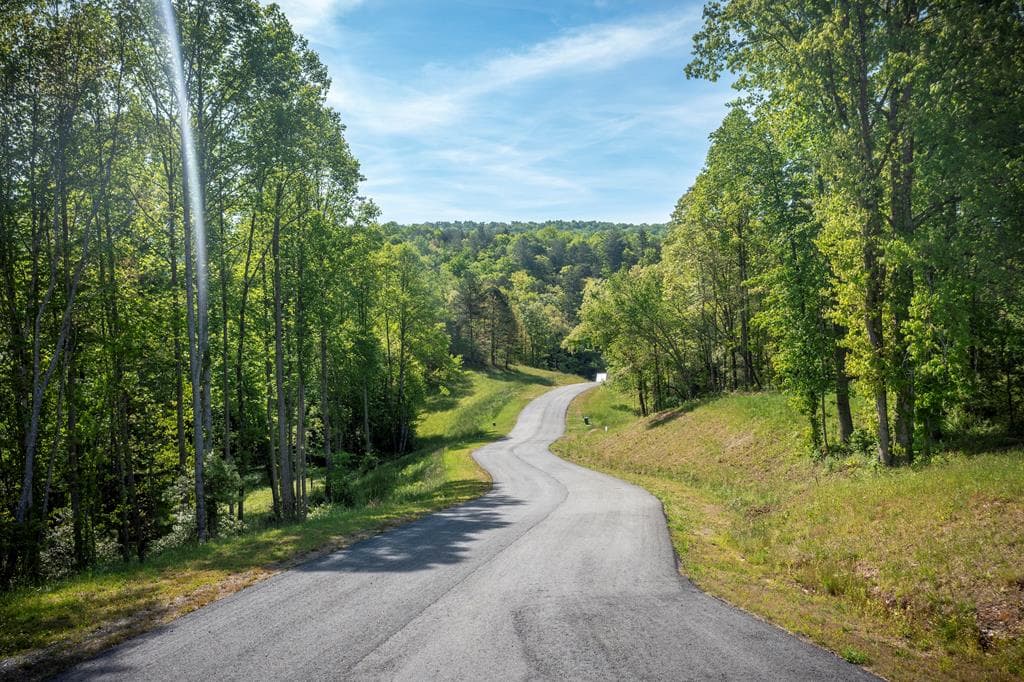 Lot 5-5A Waterstone Way, Mineral Bluff GA 30559 - Photo