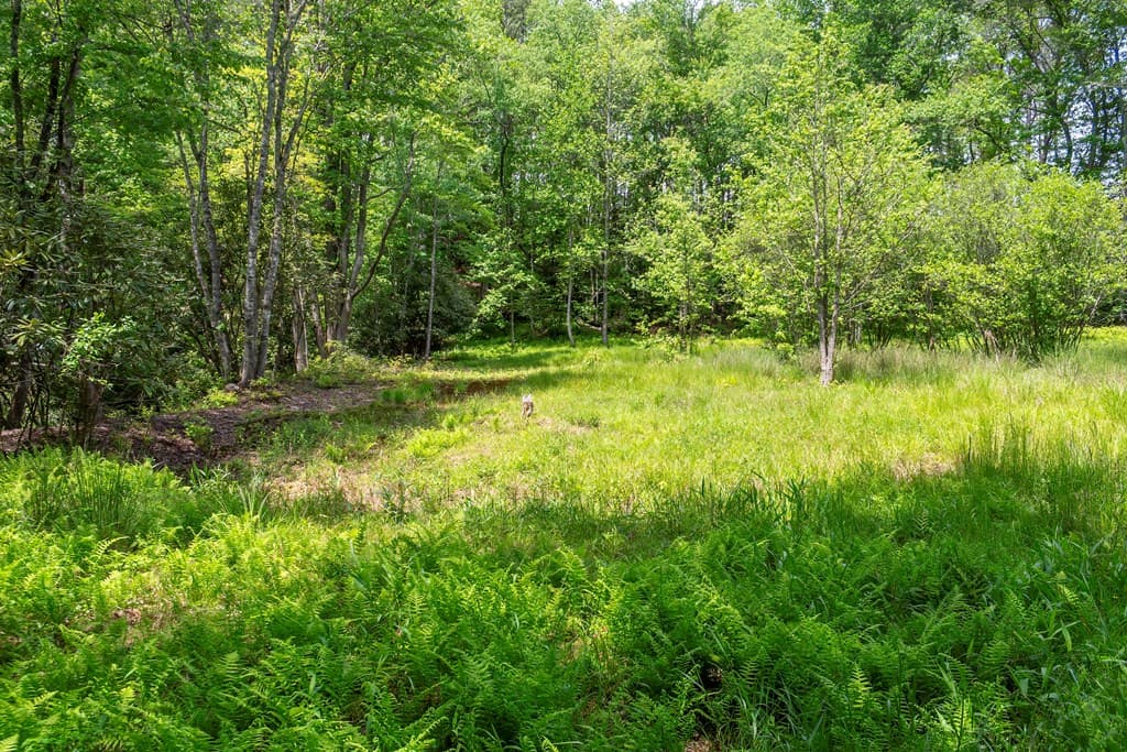 Lot 5-5A Waterstone Way, Mineral Bluff GA 30559 - Photo