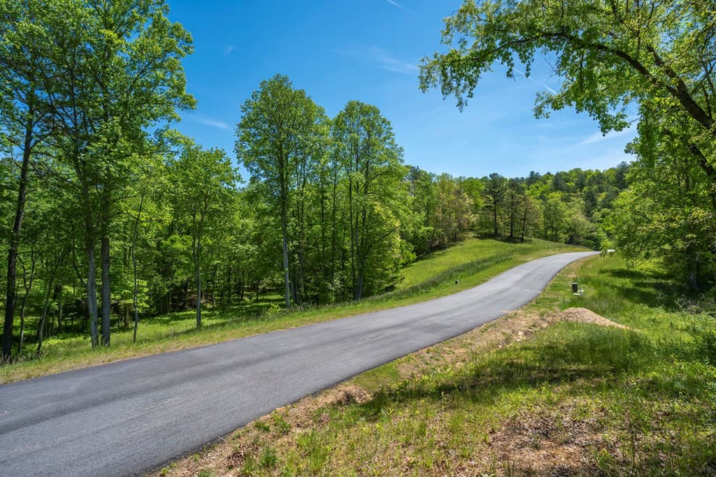 Lot 5-5A Waterstone Way, Mineral Bluff GA 30559 - Photo