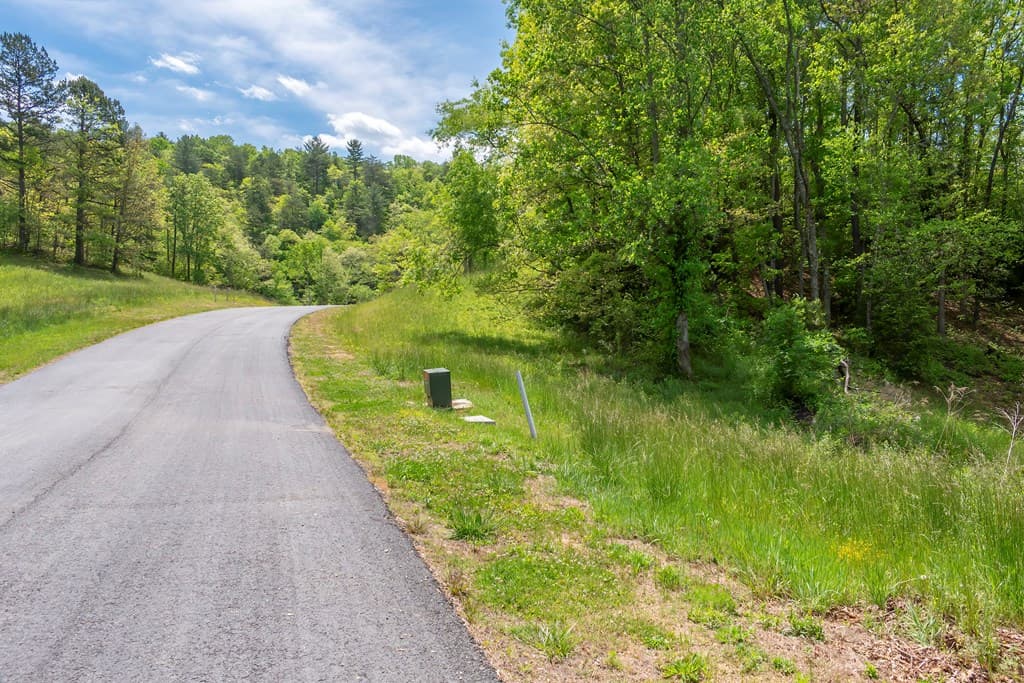 Lot 5-5A Waterstone Way, Mineral Bluff GA 30559 - Photo