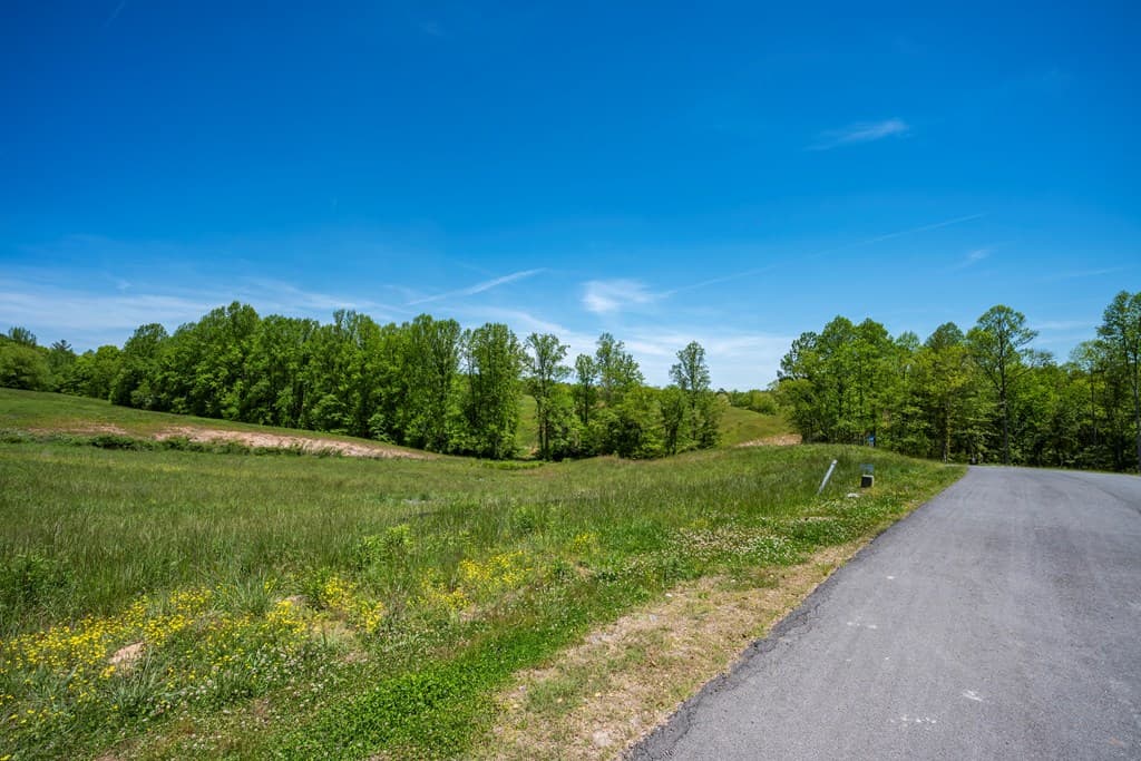 Lot 15 Waterstone Way, Mineral Bluff GA 30559 - Photo