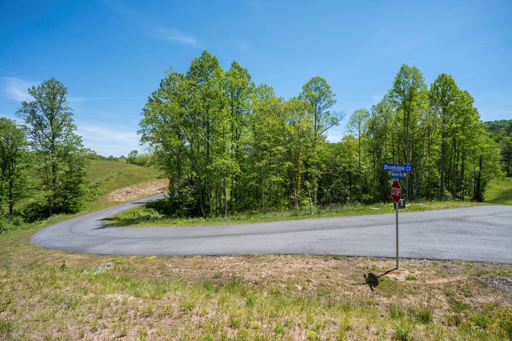 Lot 15 Waterstone Way, Mineral Bluff GA 30559 - Photo