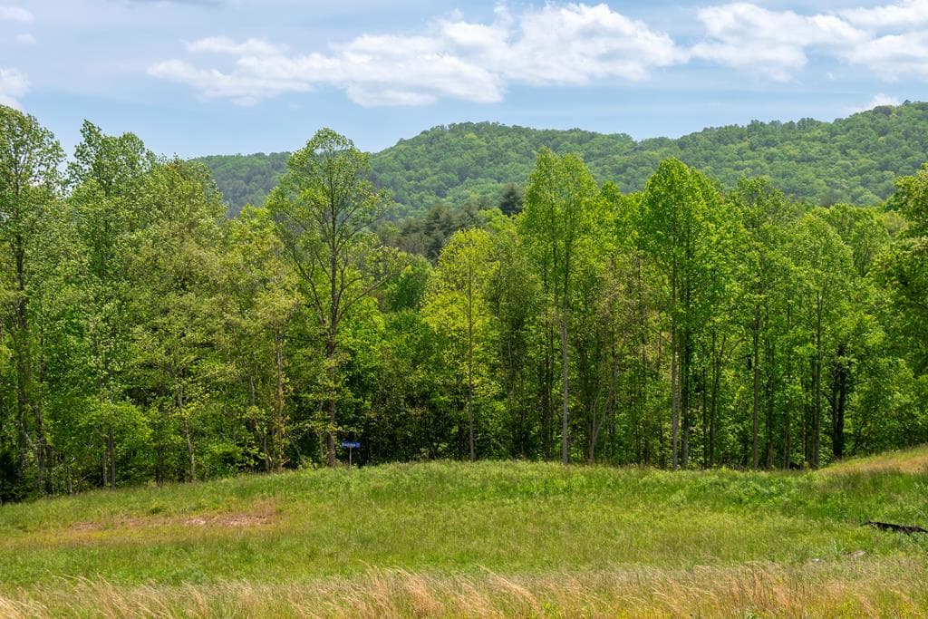 Lot 15 Waterstone Way, Mineral Bluff GA 30559 - Primary photo