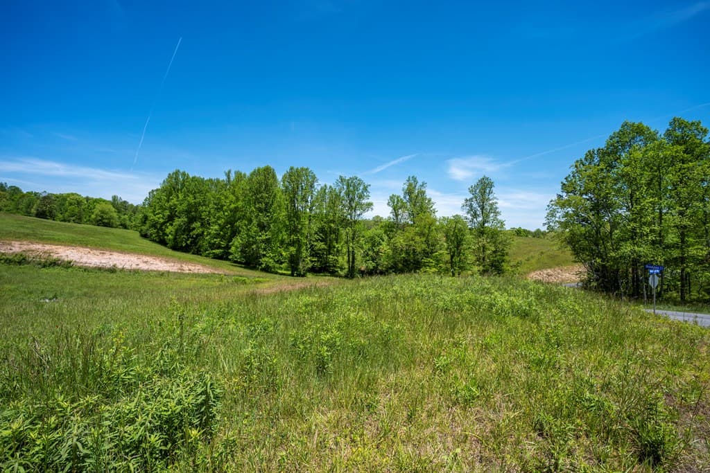 Lot 15 Waterstone Way, Mineral Bluff GA 30559 - Photo