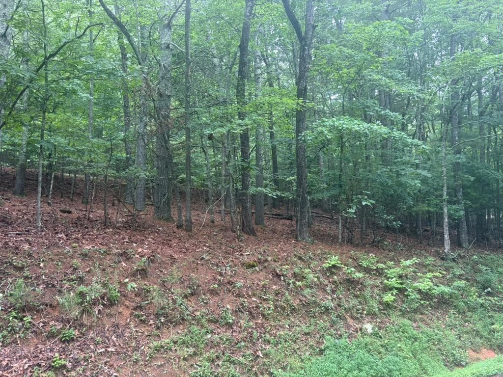 99 Nelson Circle, Blairsville GA 30512 - Primary photo