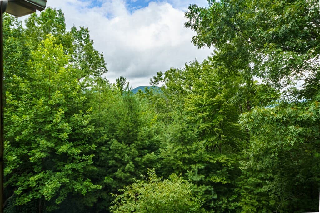 51 Hightower Trail, Hiawassee GA 30546 - Photo