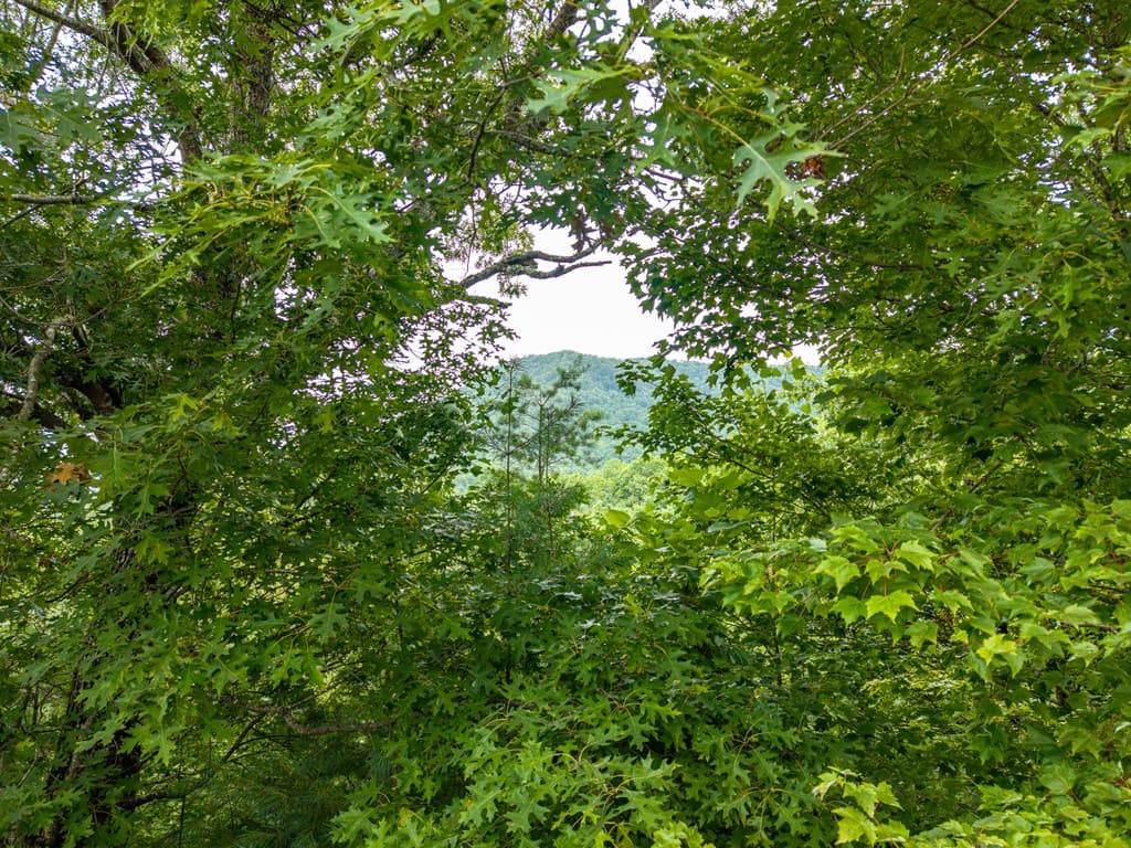 51 Hightower Trail, Hiawassee GA 30546 - Photo