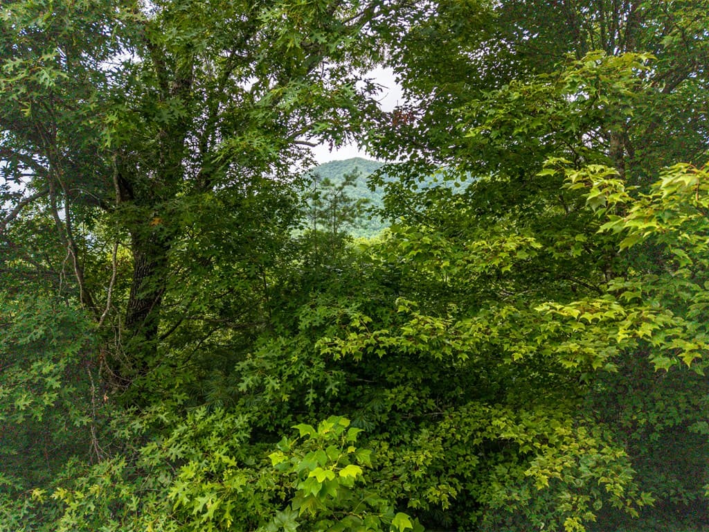 51 Hightower Trail, Hiawassee GA 30546 - Photo
