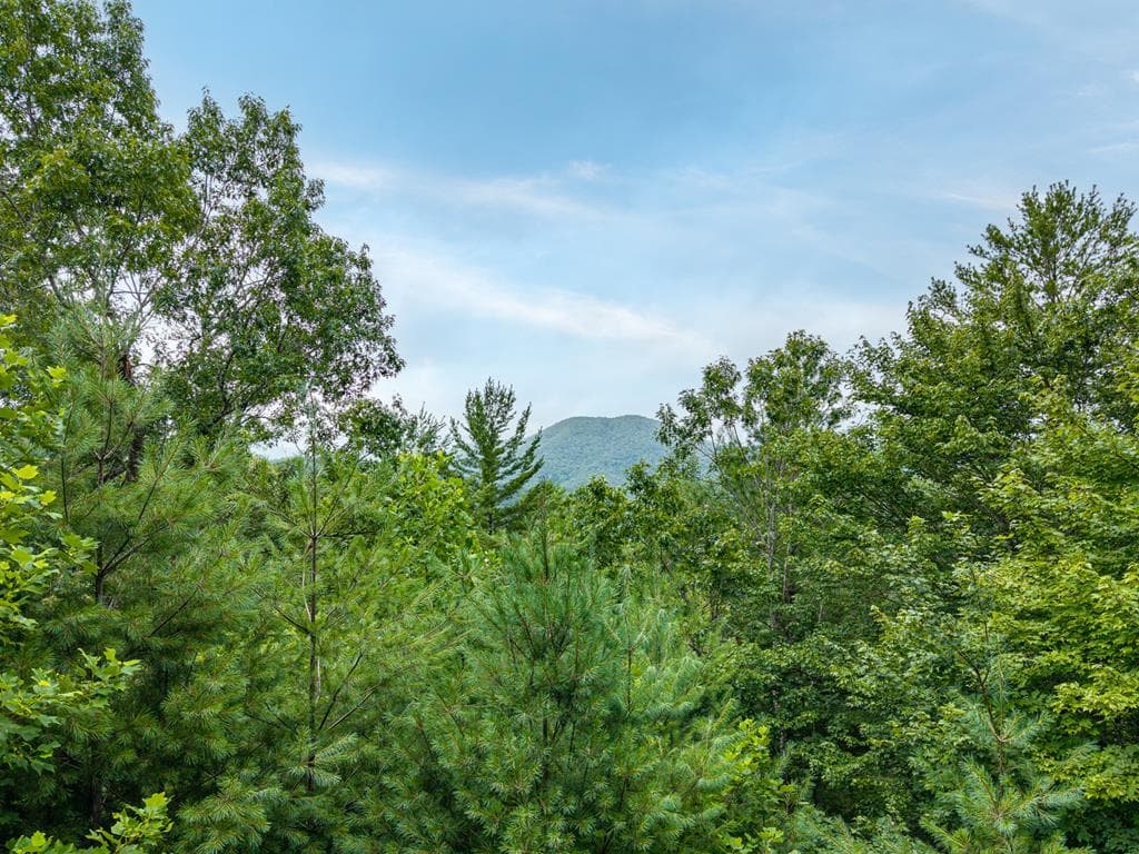 51 Hightower Trail, Hiawassee GA 30546 - Photo