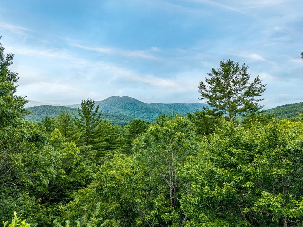 51 Hightower Trail, Hiawassee GA 30546 - Photo