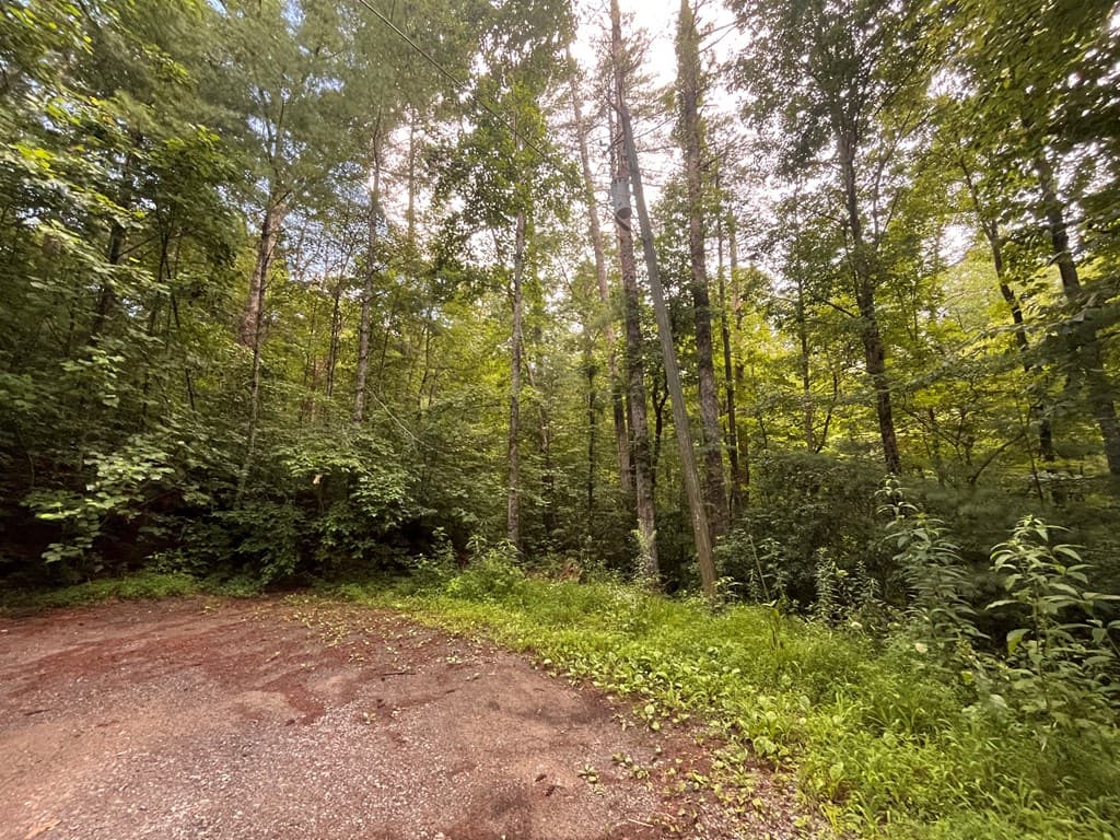 Lt 33 Brook Court, Ellijay GA 30540 - Photo