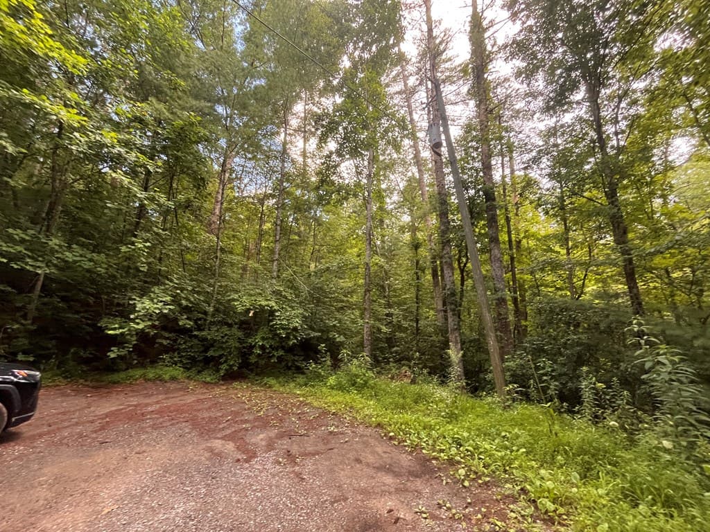 Lt 33 Brook Court, Ellijay GA 30540 - Photo