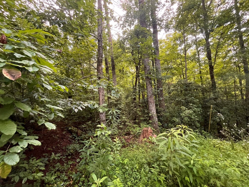 Lt 33 Brook Court, Ellijay GA 30540 - Photo