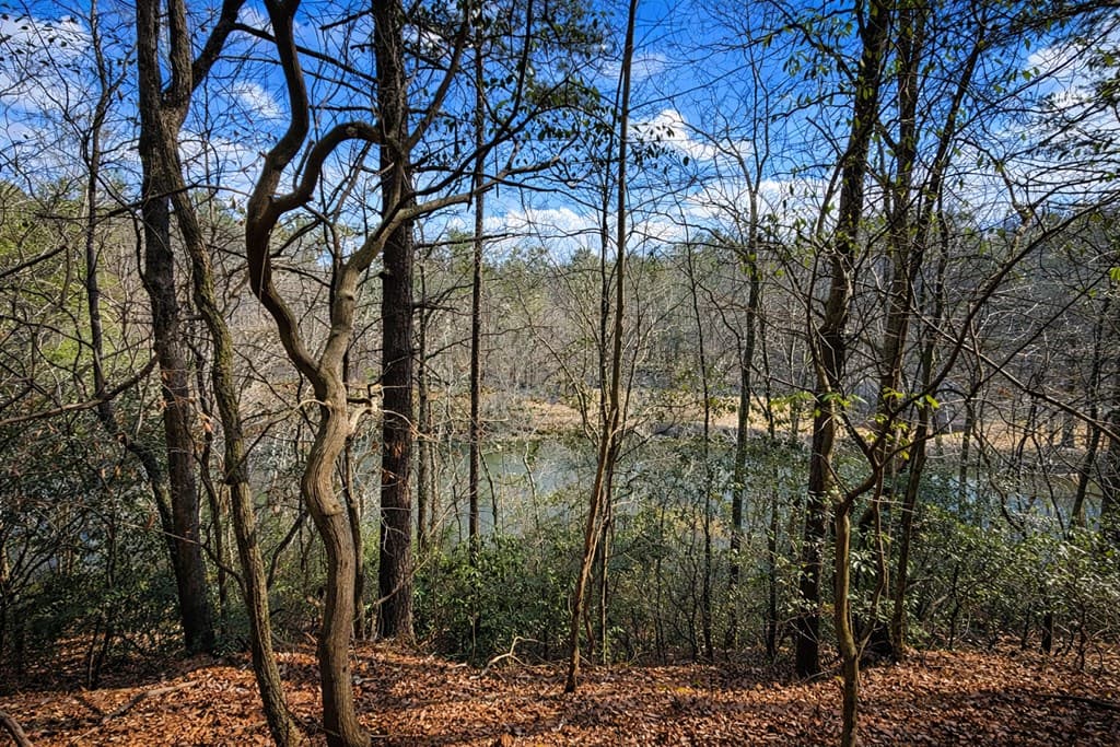 0 Hamlet Court, Ellijay GA 30540 - Photo