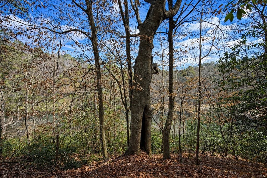0 Hamlet Court, Ellijay GA 30540 - Photo
