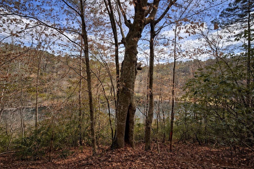 0 Hamlet Court, Ellijay GA 30540 - Photo