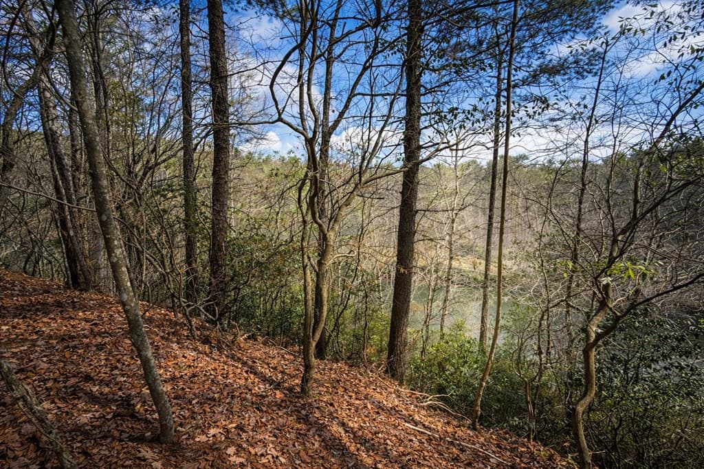 0 Hamlet Court, Ellijay GA 30540 - Photo