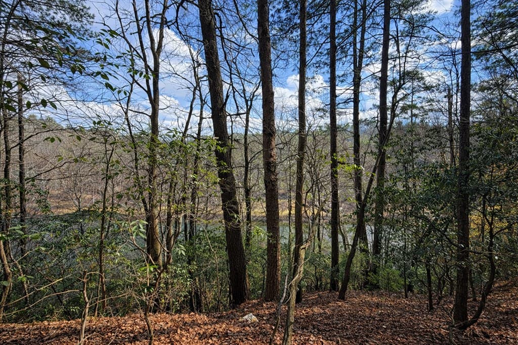 0 Hamlet Court, Ellijay GA 30540 - Photo