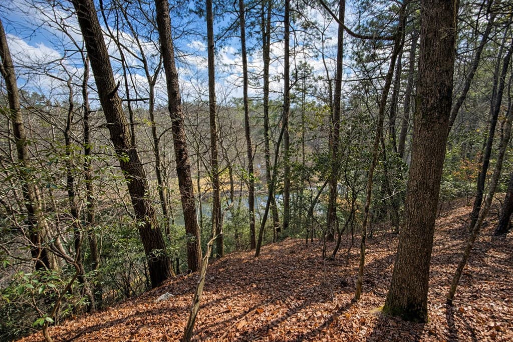 0 Hamlet Court, Ellijay GA 30540 - Photo