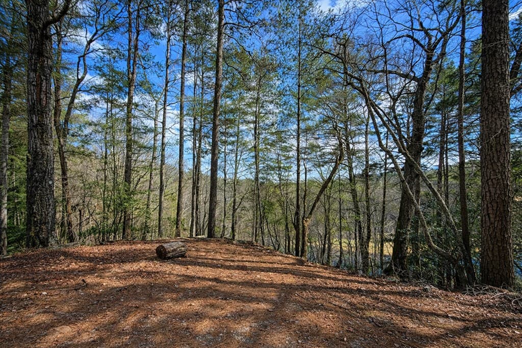 0 Hamlet Court, Ellijay GA 30540 - Photo