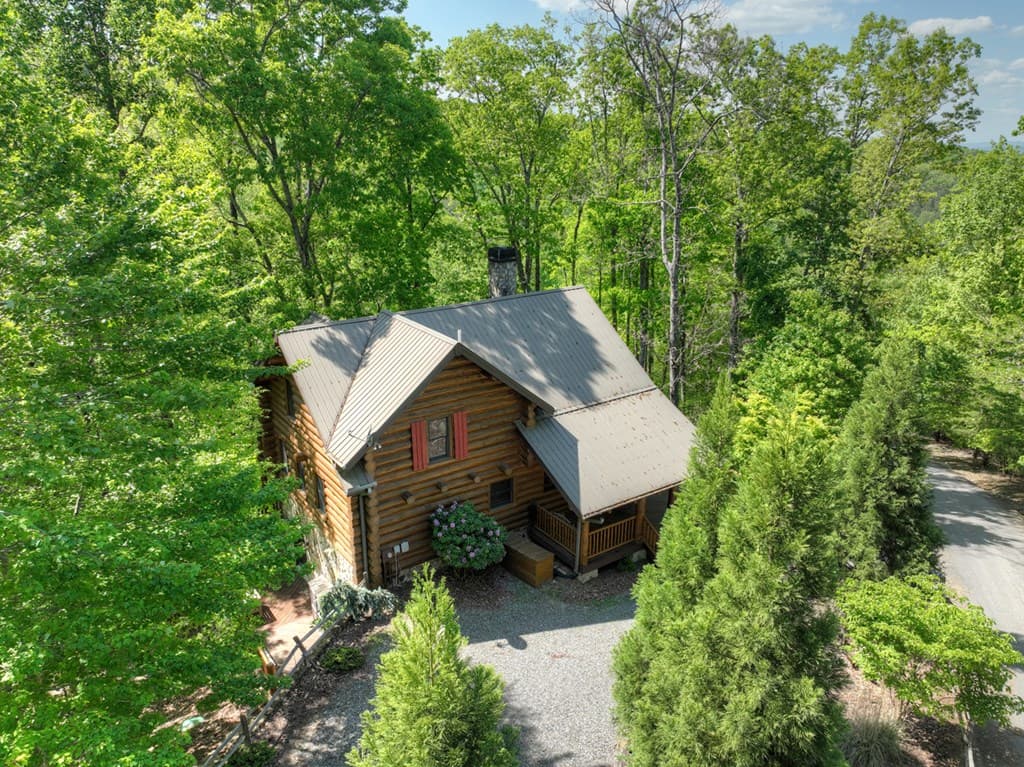 536 Lakeview Road, Blue Ridge GA 30513 - Photo