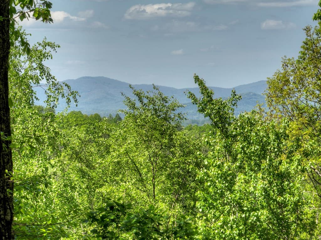 536 Lakeview Road, Blue Ridge GA 30513 - Photo