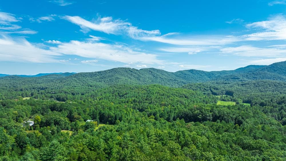 300 Cloudland Trace, Epworth GA 30541 - Photo