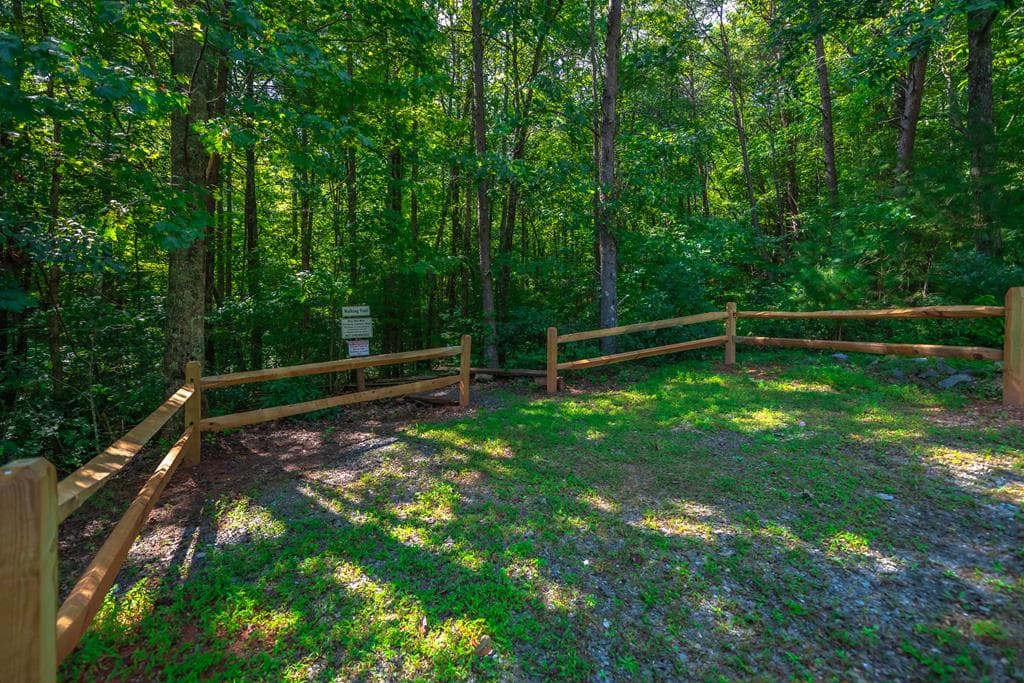 300 Cloudland Trace, Epworth GA 30541 - Photo